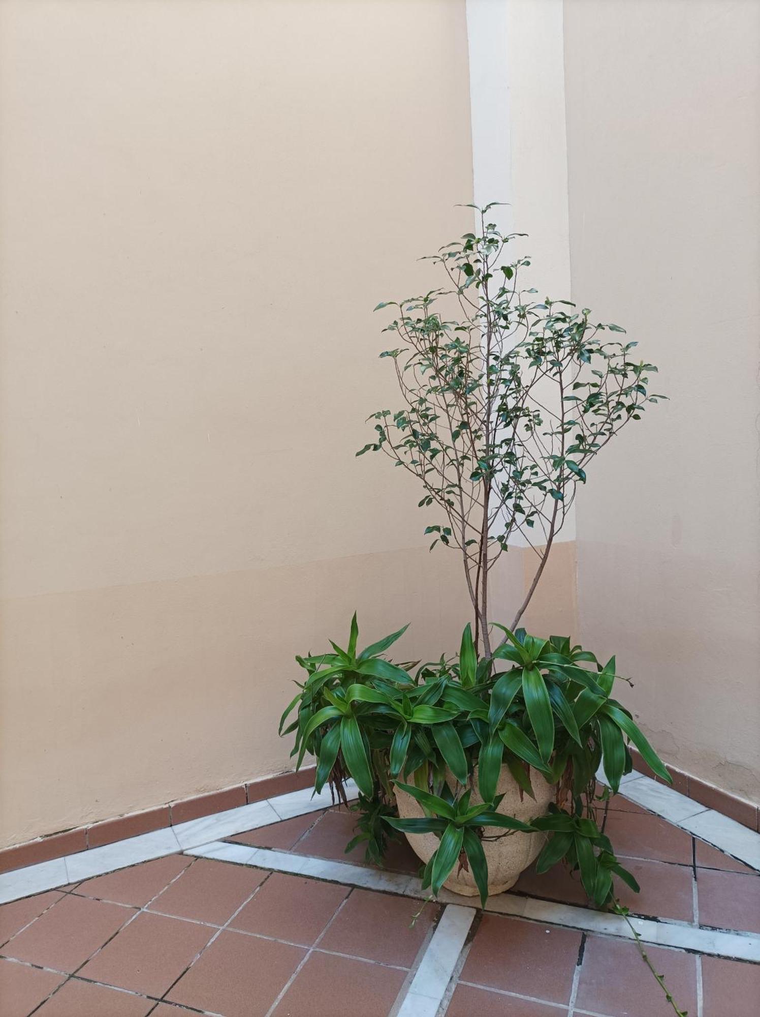 Apartamento De Lux Sevilla Este Esterno foto